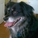 Robin Causey - @robin.causey.39 - Instagram