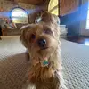 Robyn Cavallo - @robyncavallo - TikTok