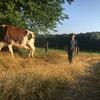 robin.champy - @robin.champy - TikTok