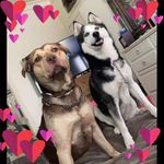 Robin Charland - @mama_dukes_92463 - Instagram