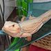 Robin Chatman - Facebook