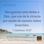 Marisol Morcillo Robinson - @morcillorobinson - Instagram