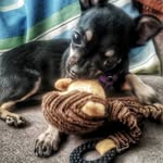 Robin - @robin_robincillo - Instagram