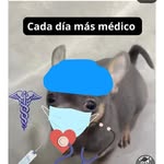 Robincillo - @kixx_rd - Instagram