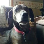 Robin Cleveland - @robin.cleveland.5 - Instagram