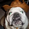 Robin Ellen Clickner - @robin.ellen.click - TikTok