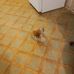 Robin Coker - Facebook