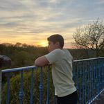 @collie_robin - Instagram