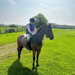 Robin Collie - @robin_p_b_collie - Instagram
