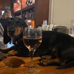 Thomas Robin Bibby Collie - @collie7282 - Instagram