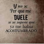 Robin Colón - @robin.colon.5832 - Instagram