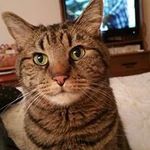 Robin Conaway - @robinconaway - Instagram