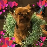 Robin Condon Crnich - @crnichrobin - Instagram