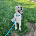 @robincondon2024 - Instagram