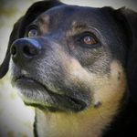 GaryandRobin Conger - @garyandrobinconger - Instagram