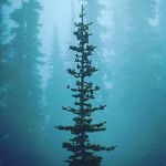 Robin Conlin - @robin30729 - Instagram