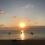Robin Cook - @robinn.cook - Instagram
