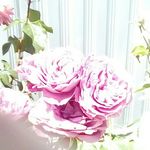 Robin Coots - @cootsrobin - Instagram
