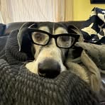 Robin Cornelius - Facebook