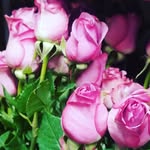 Robin's Corner Flower Shop - @robinscornerflower - Instagram
