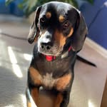 Robin DeSimone Cosgrove - @robin.d.cosgrove - Instagram