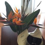 Robin Crawley - @southerngirl336 - Instagram