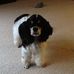 Robin Crocker - Facebook