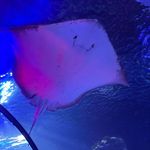Robin Crossley - @robin.mc_ - Instagram