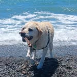 Robyn Crossley - @crossleyrobyn - Instagram