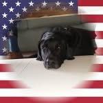 Robin Crothers - @robin.crothers - Instagram