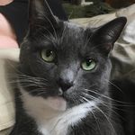 Robin Crum - @renaissance_robin - Instagram