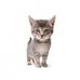 Robin Cullen - Facebook