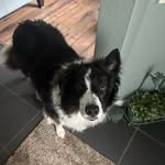Robin Culver - @robinlculver - Instagram