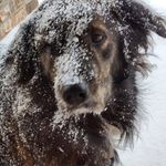 Robin Cunningham - @robin.cunningham.9028 - Instagram