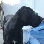 Diane Tredy - @curleyrobinhood - Instagram