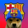 Robin Dallas - @robindallas_2989 - TikTok