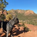 Robin Dame - @robindame6687 - Instagram