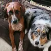 robindaniel487 - @robindaniel487 - TikTok