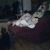 Robin Daubner - Facebook