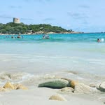 Robin - @robin_davey_y40 - Instagram