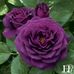Robin Deen - Facebook