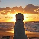 Robin Denny - @robindenny6 - Instagram