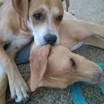 Robin Denny - @allinmedical - Instagram