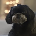Robin Dewitt - @trdewitt69 - Instagram