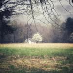Robin Lee DeWitt - @robindewitt - Instagram