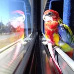 Robin Dickie - @dillydallying1 - Instagram