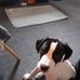 Robin Dillinger - Facebook
