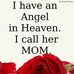 Robin Dingle - Facebook
