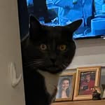 Walter Disney Robinson - @walterdisney_robinson - Instagram