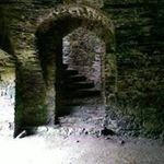 Robin Donaldson - @robin.donaldson.33 - Instagram